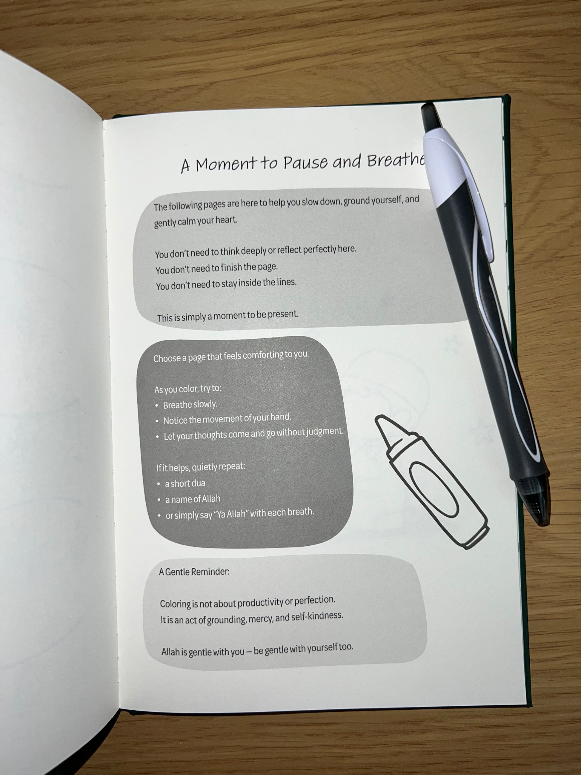 Open book with a pen on top, showing text and illustrations.